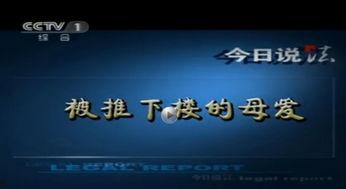 如何在今日说法里爆料,公众爆料背后的真相与正义 第1张 如何在今日说法里爆料,公众爆料背后的真相与正义 第1张